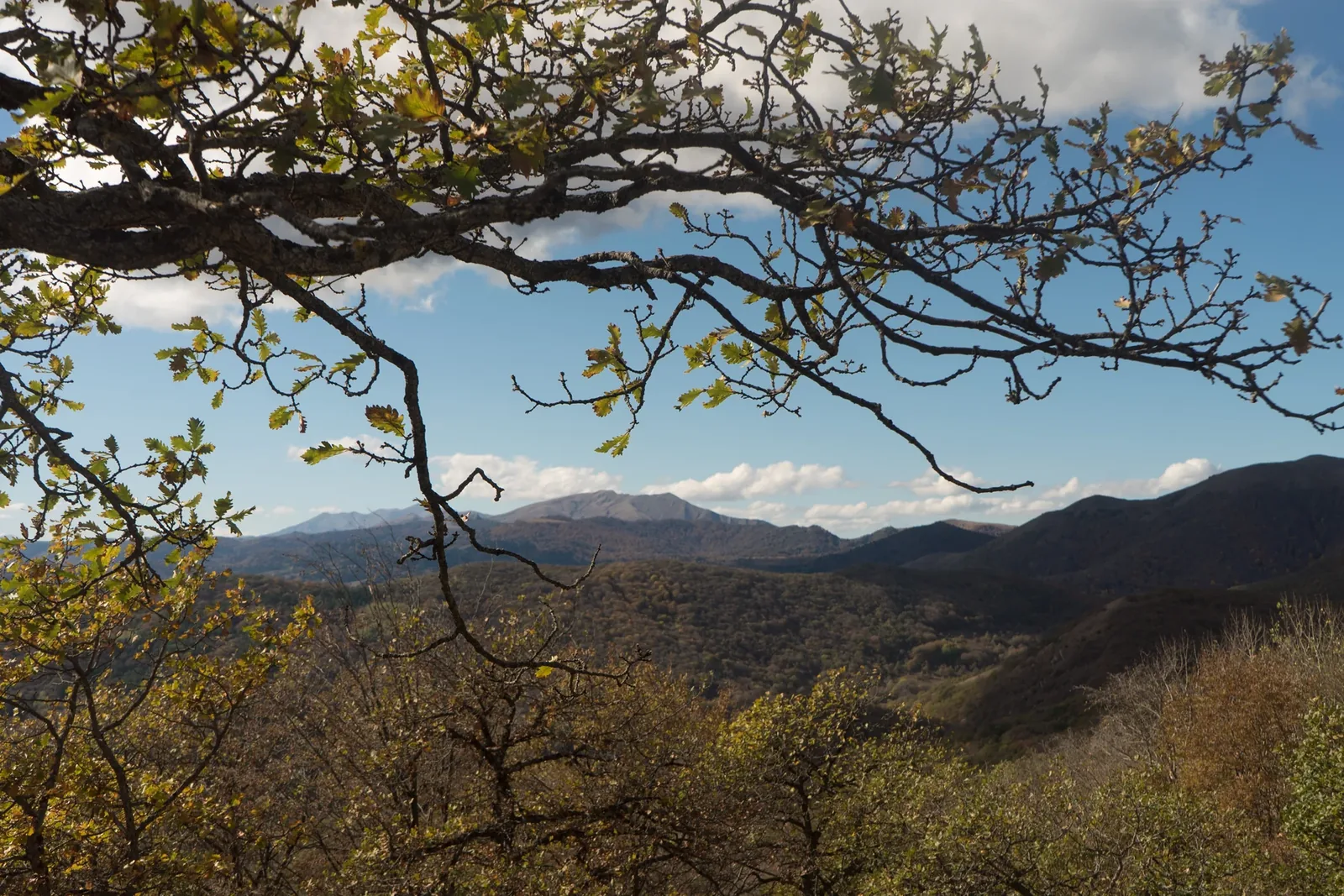 Algeti National Park — 3