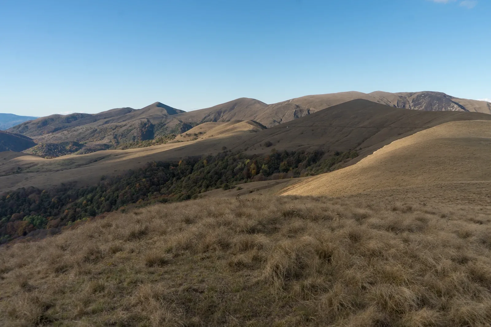 Algeti National Park — 4