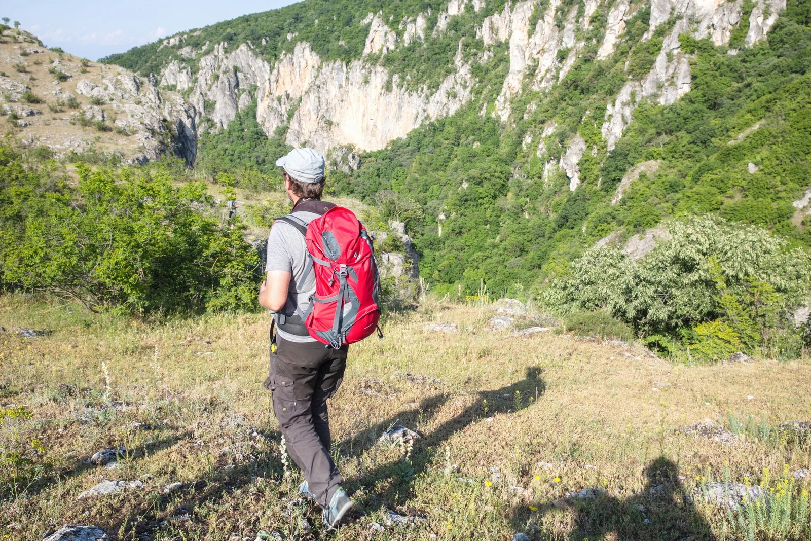 არწივის ხეობა