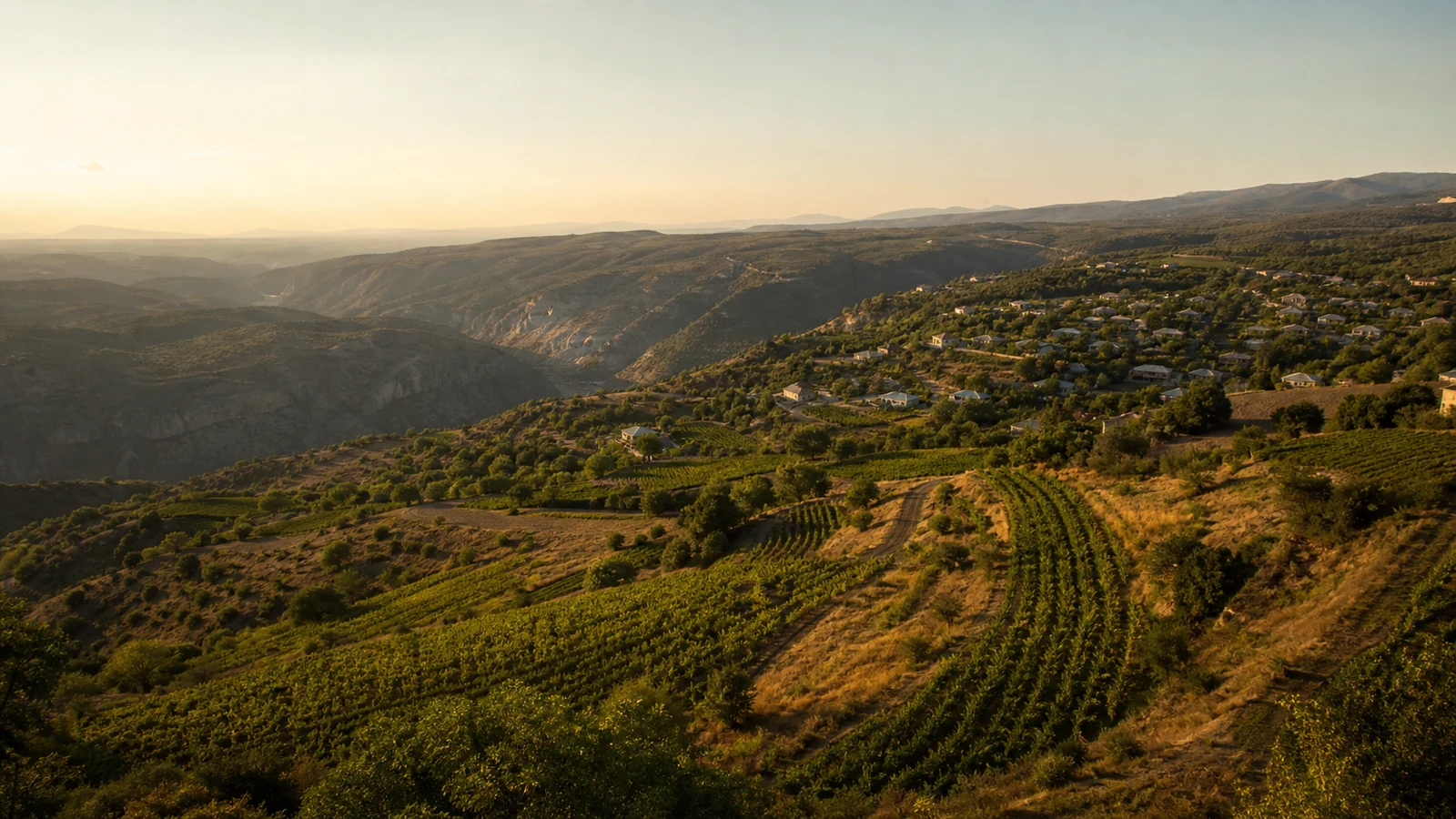 Ateni Valley Wine Cellars — 5