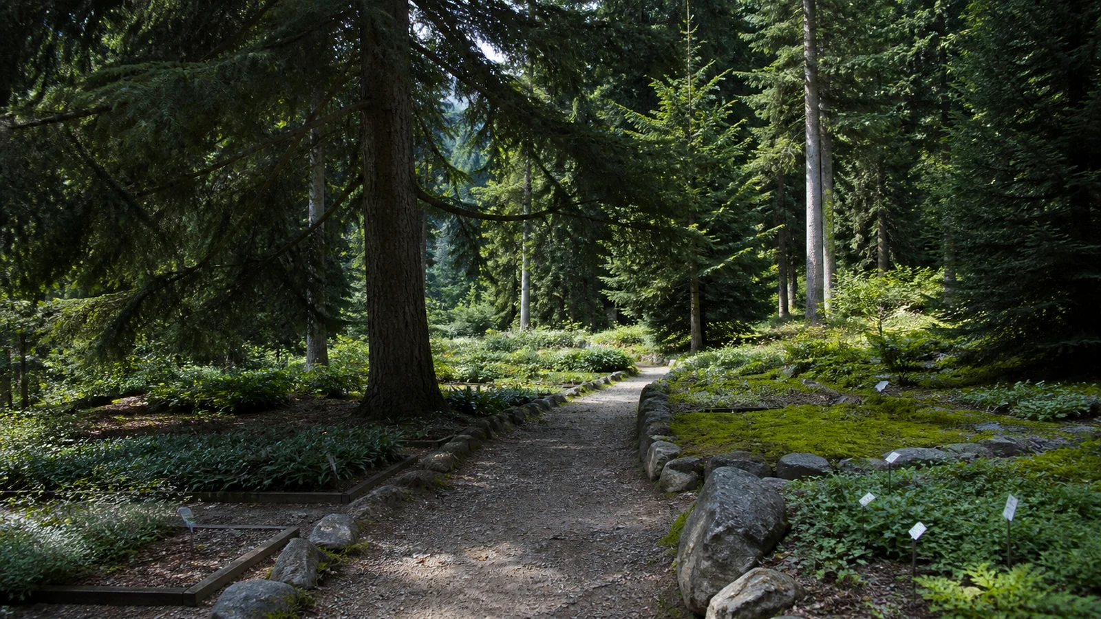 Bakuriani Alpine Botanical Garden — 4