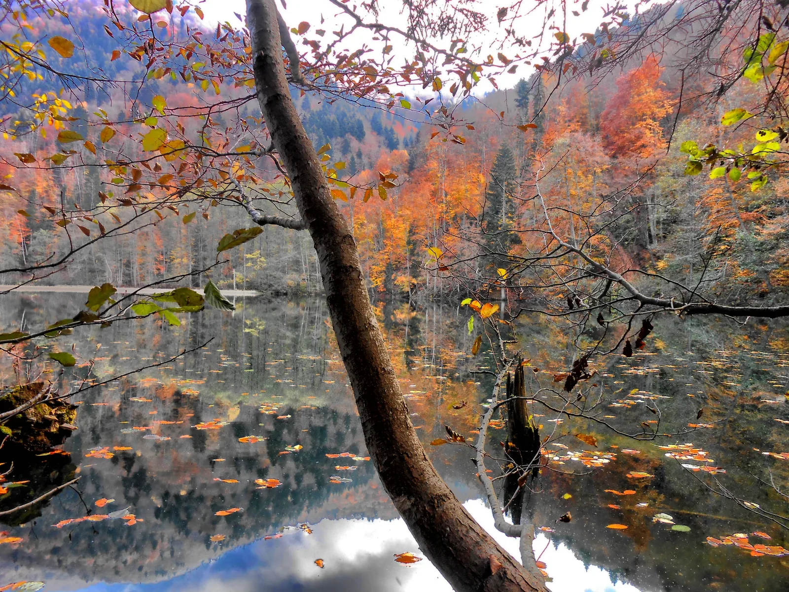 Bateti Lake — 6