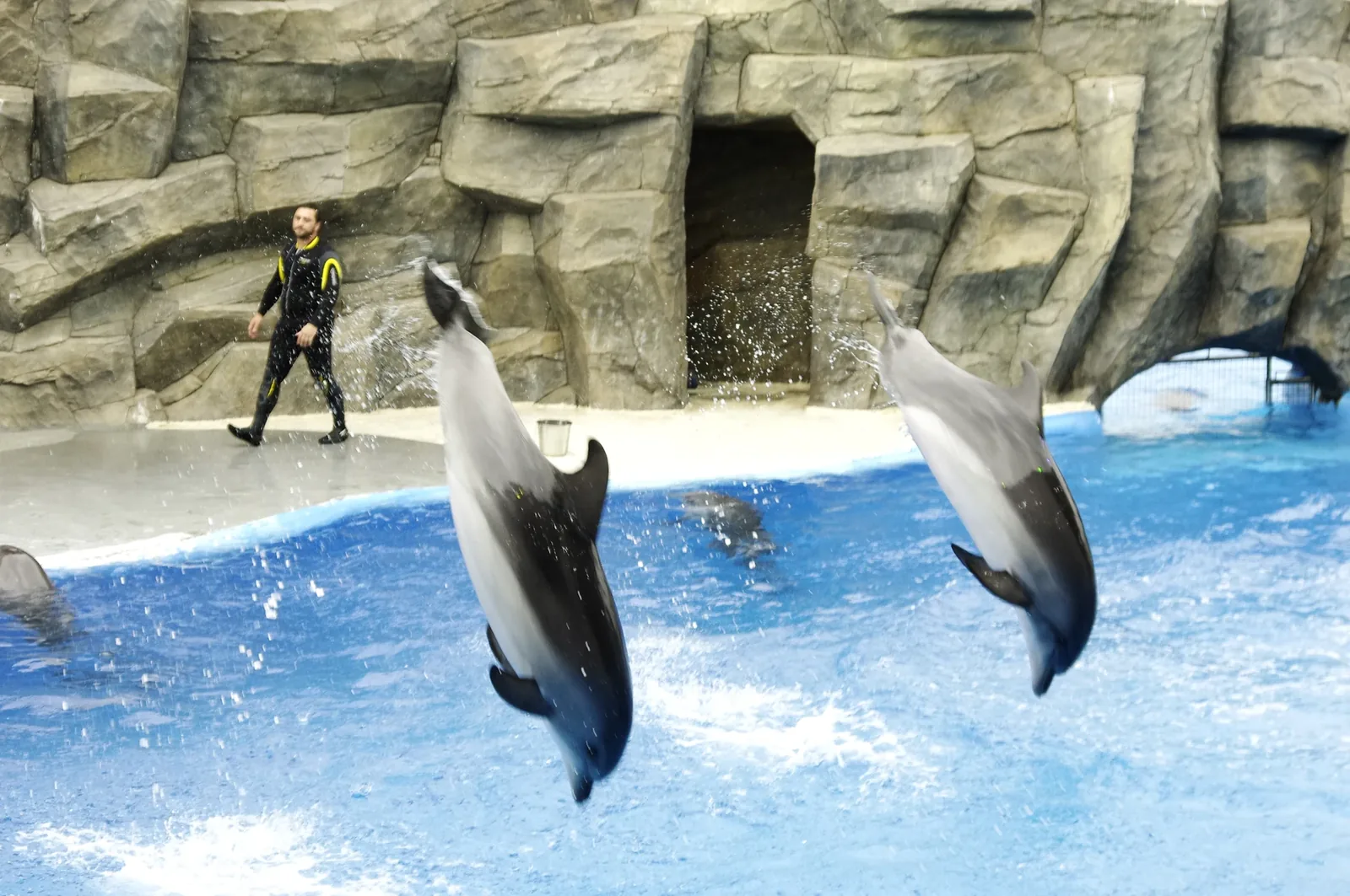 6 May Park and Batumi Dolphinarium — 5