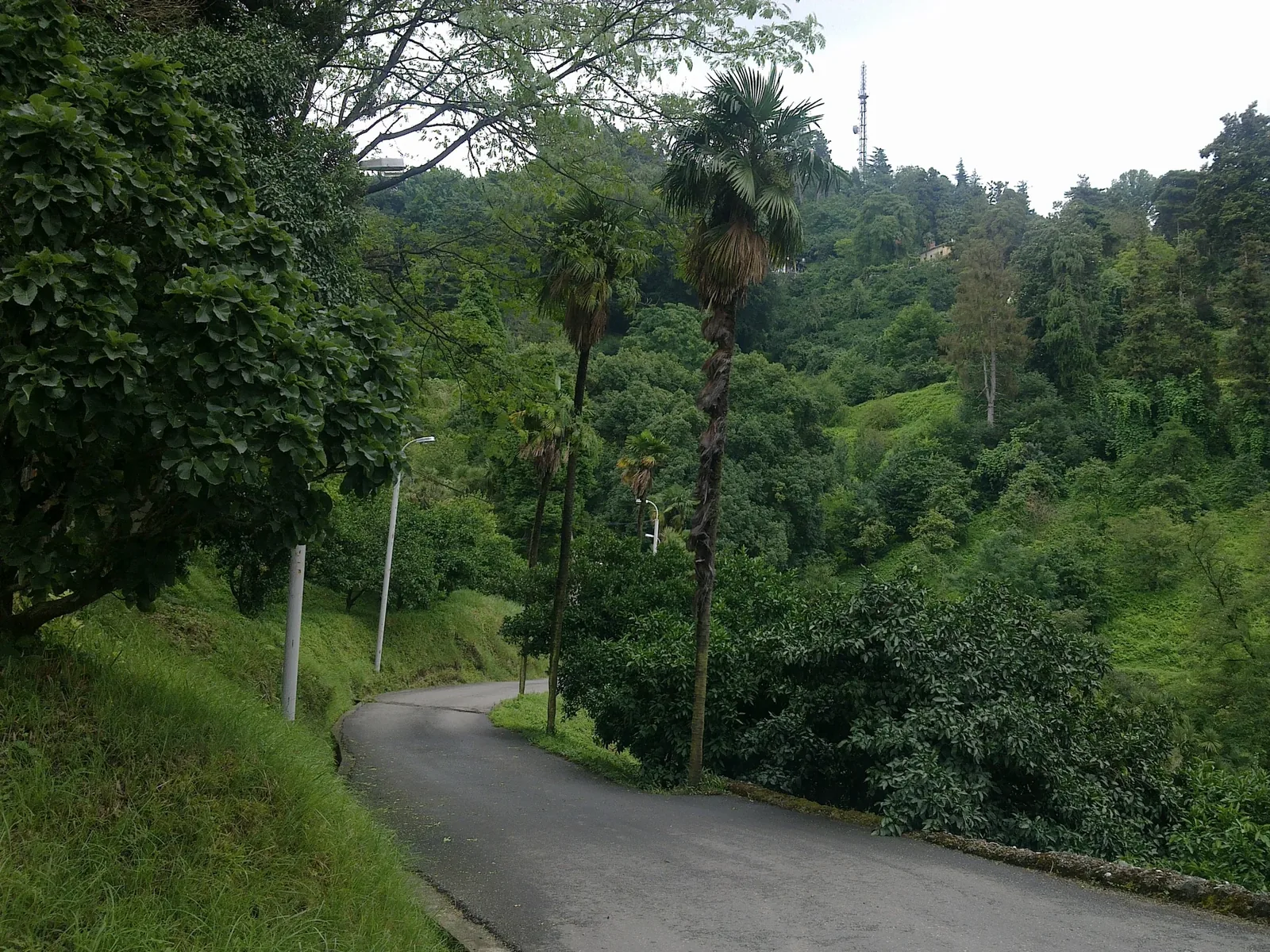 Batumi Botanical Garden — 6