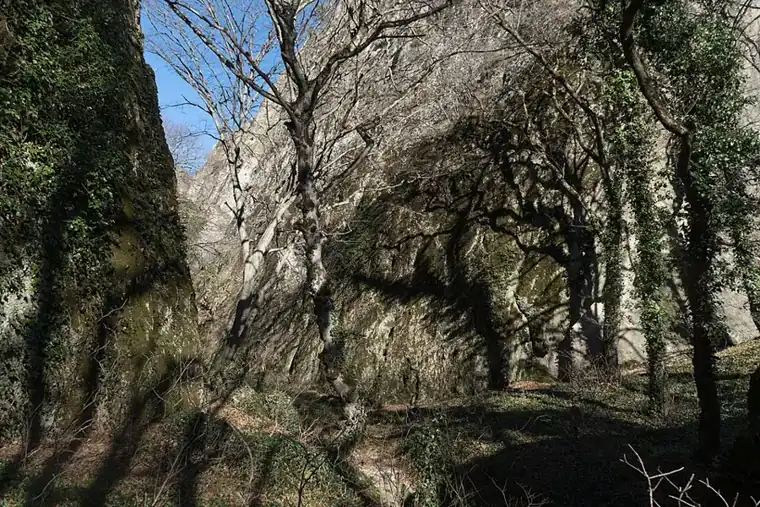 ბირთვისის ციხე და კანიონი — 2