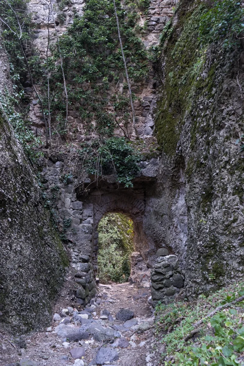 Birtvisi — 7