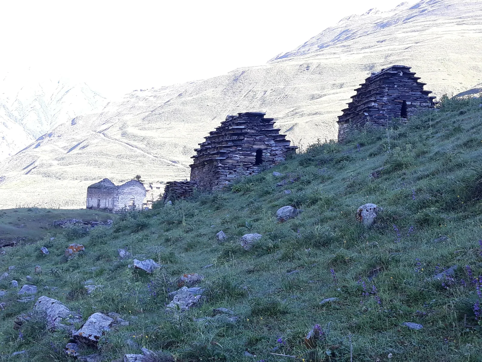 Dartlo — 5