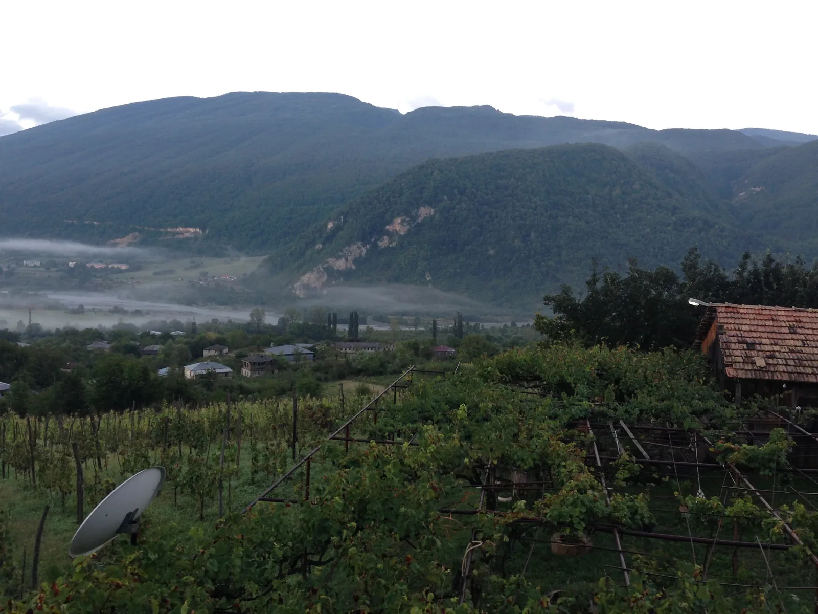Khvanchkara Wine Zone — 5
