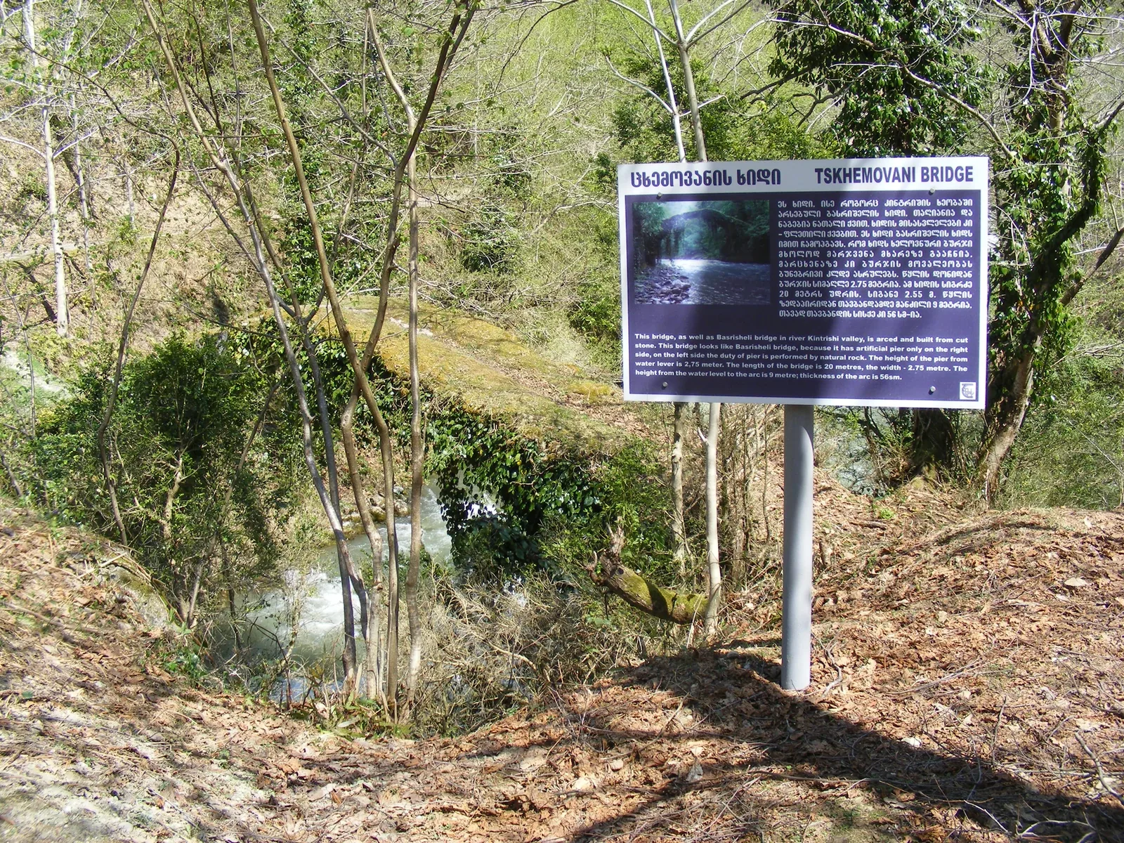 Kintrishi Protected Areas — 3