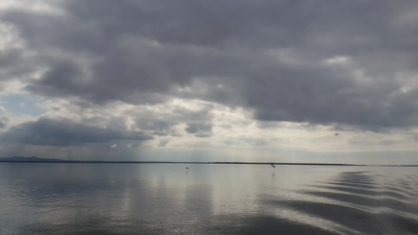Kolkheti National Park and Lake Paliastomi — 4