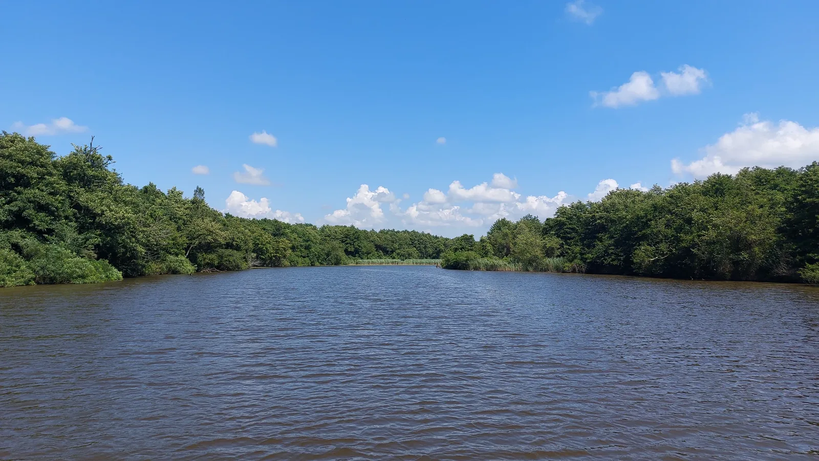 Kolkheti National Park and Lake Paliastomi — 7