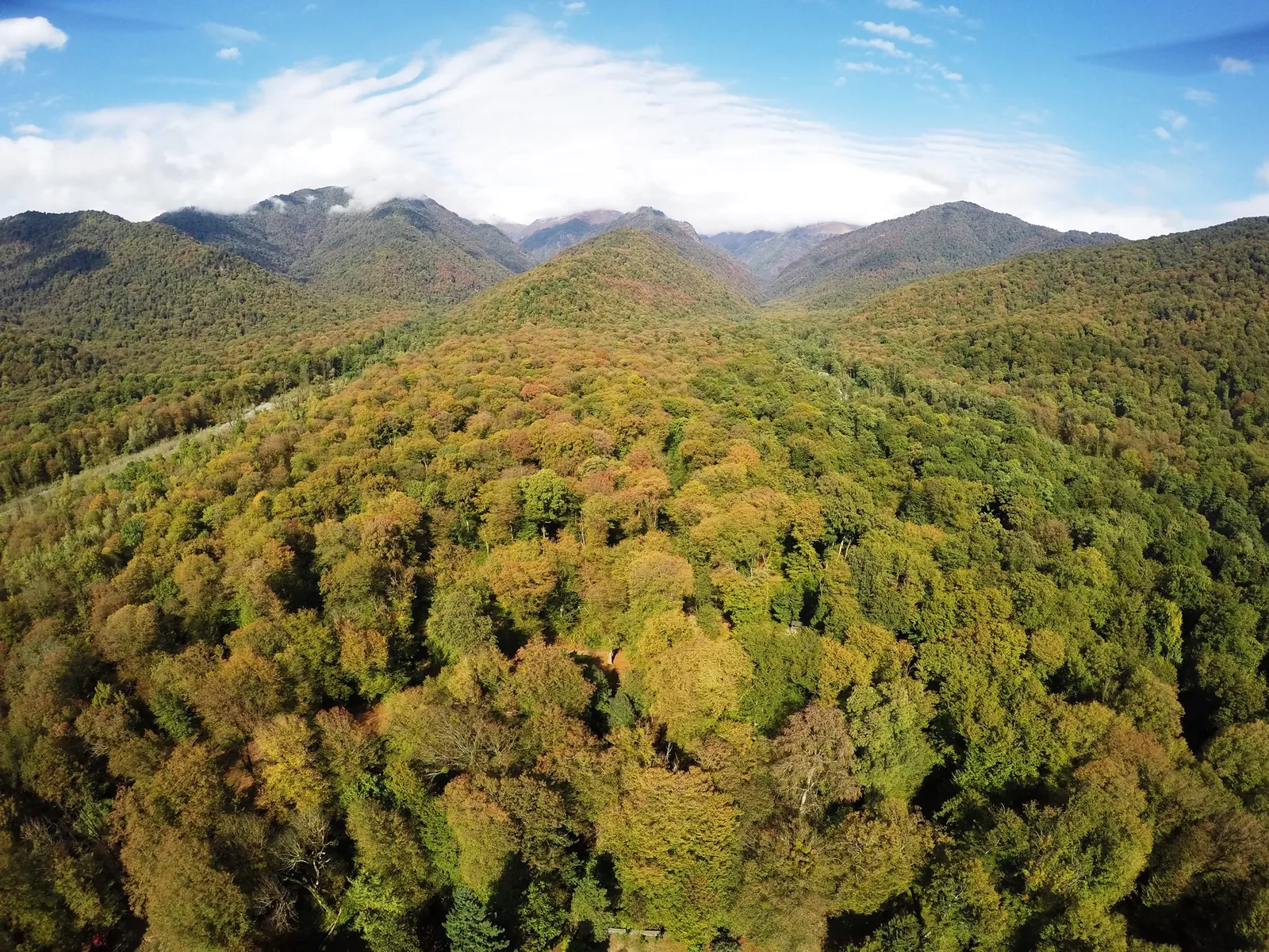 Lagodekhi Protected Areas — 1