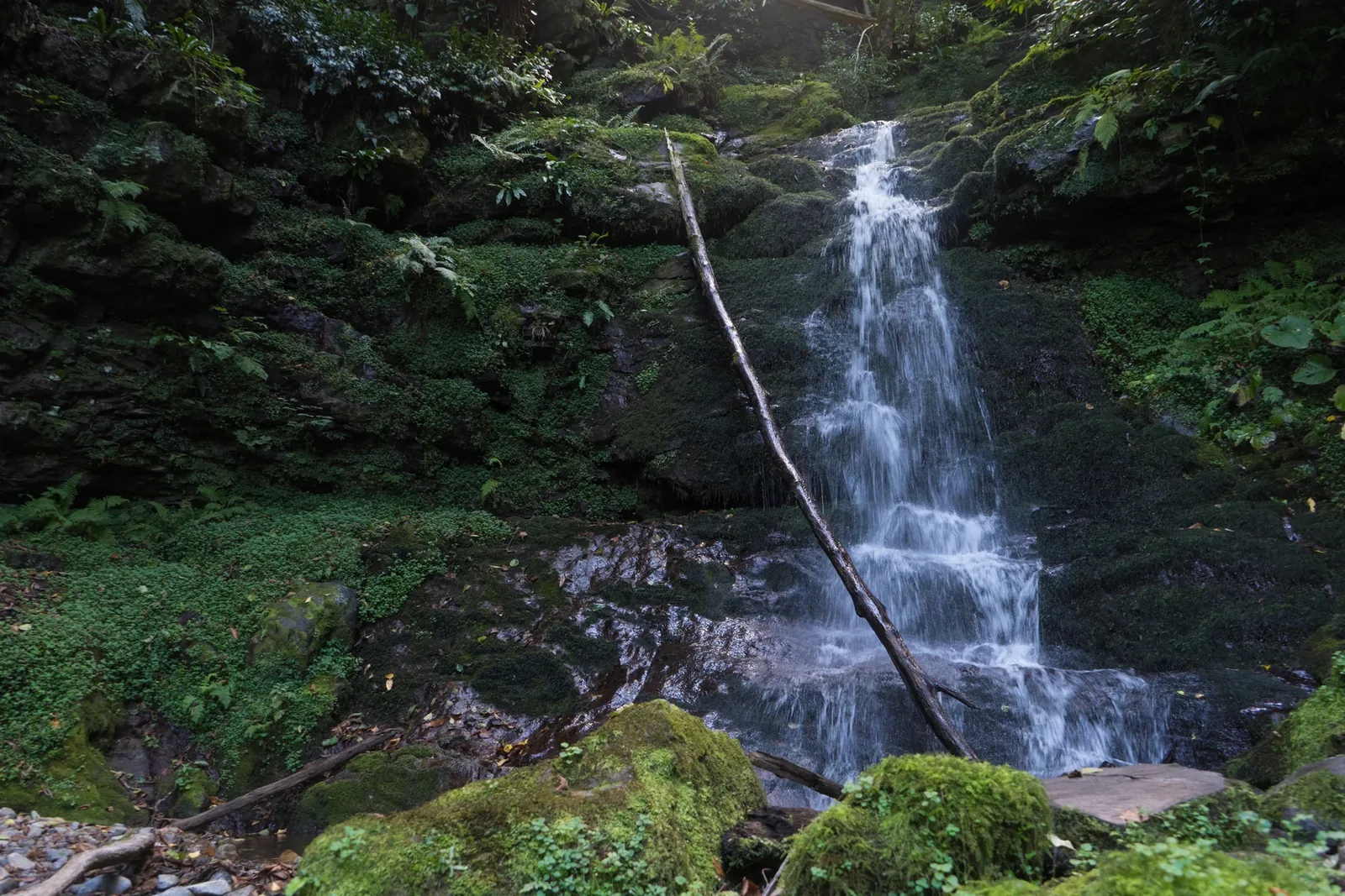Machakhela National Park — 1