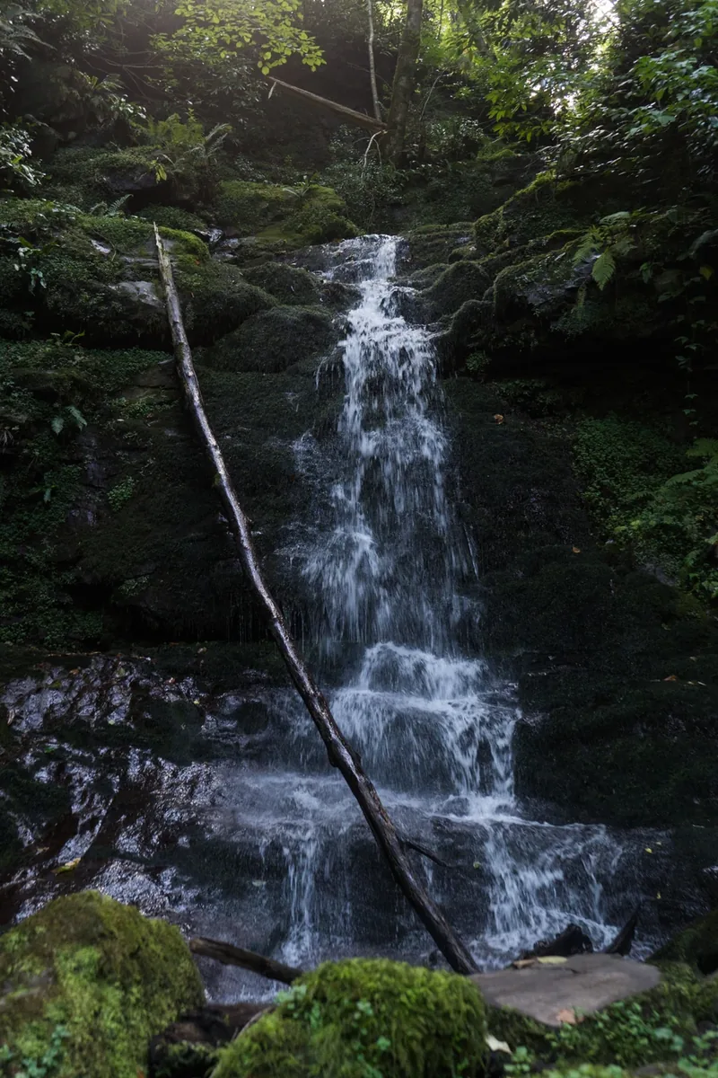 Machakhela National Park — 3