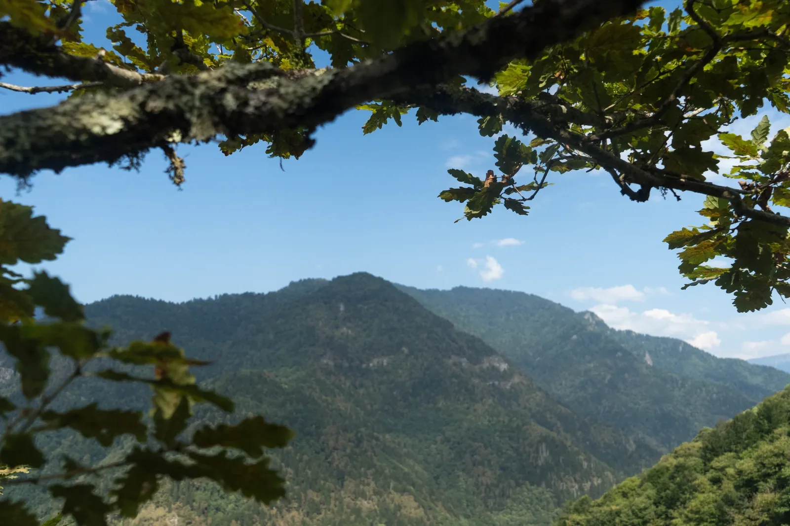 Machakhela National Park — 4