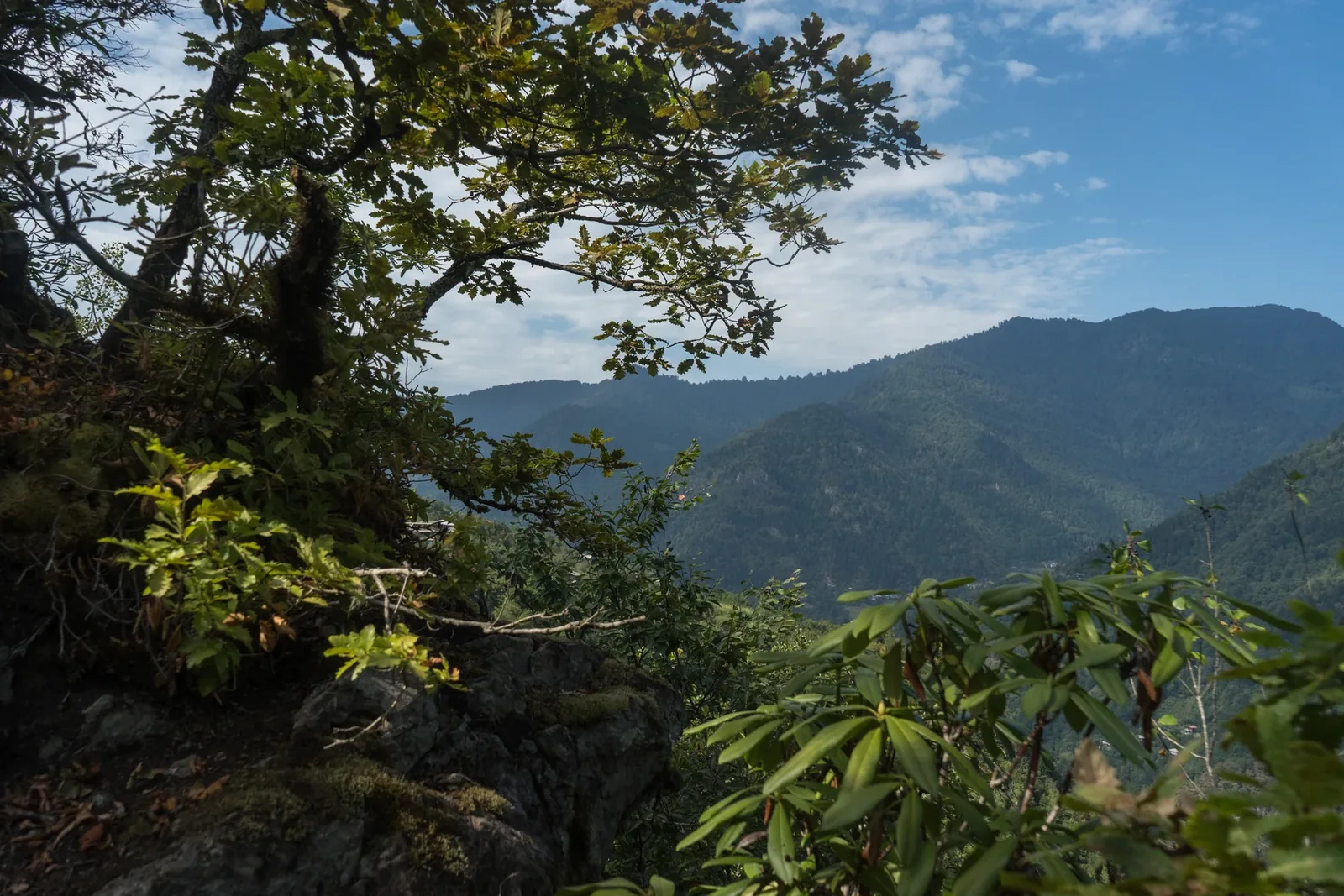 Machakhela National Park — 5