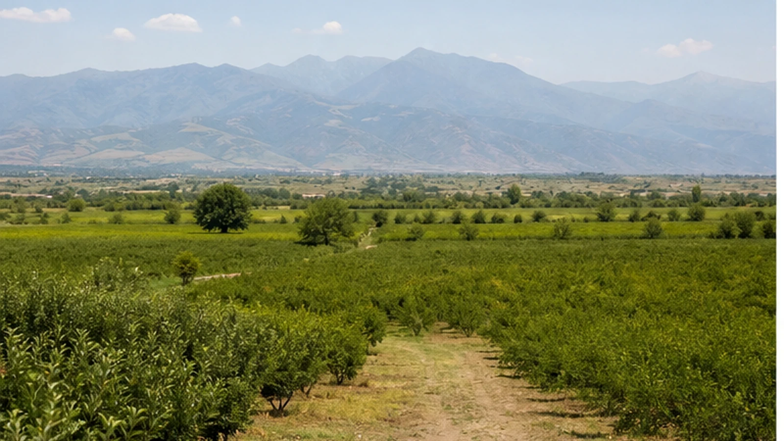 Marneuli — 5