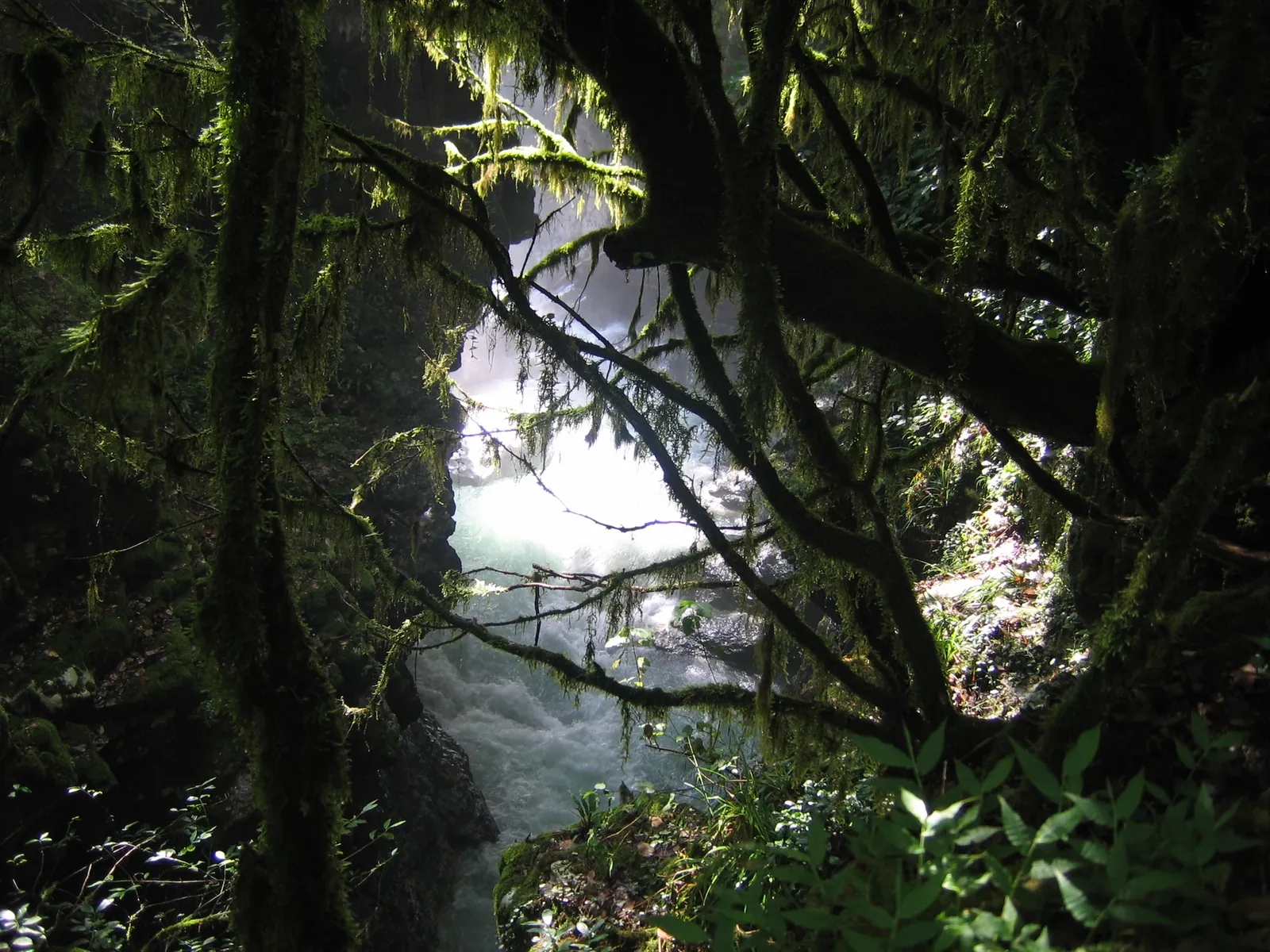 Martvili Canyon — 1