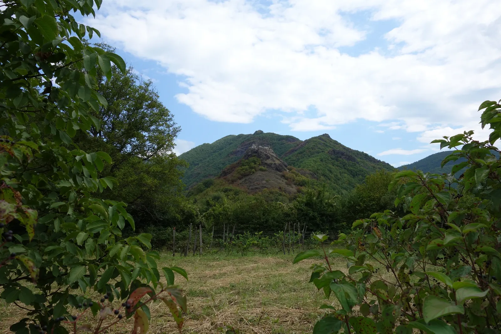 Minda Fortress — 1