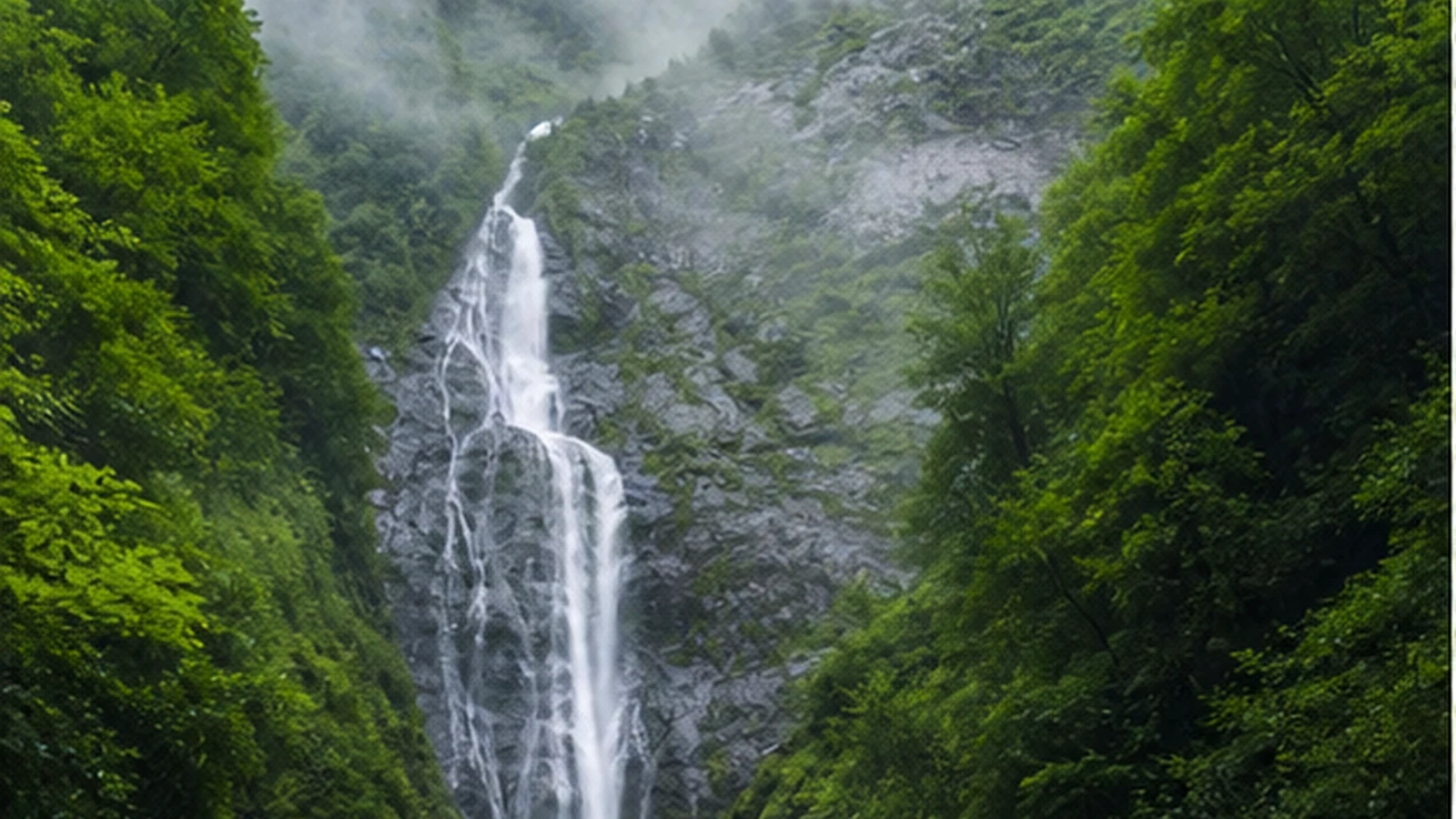 Mtirala National Park — 4