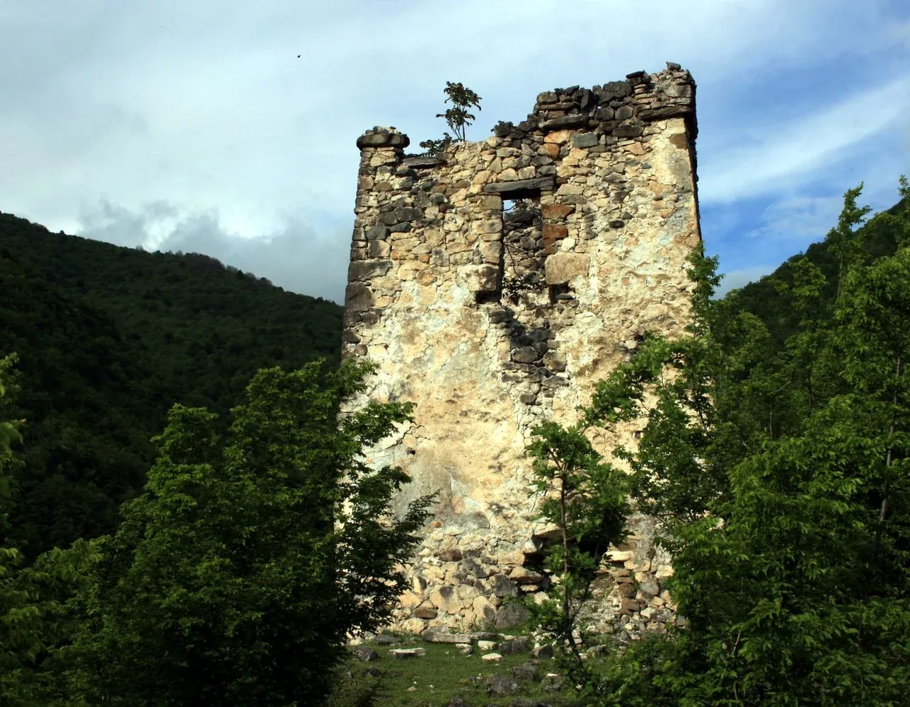 Muri Fortress — 1