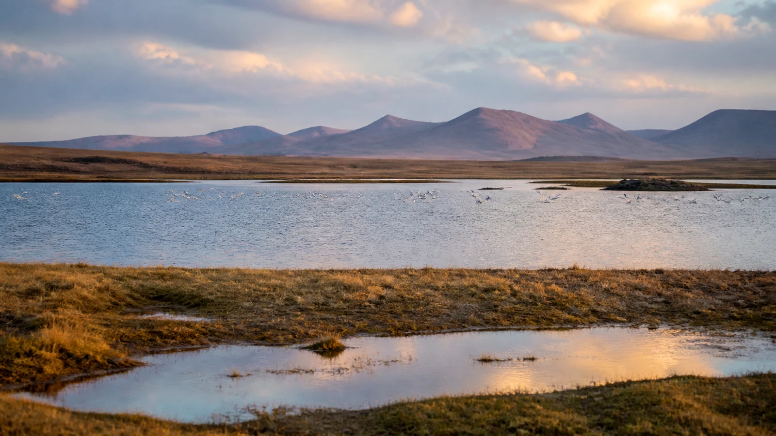 Lake Paravani and Lake Tabatskuri — 4