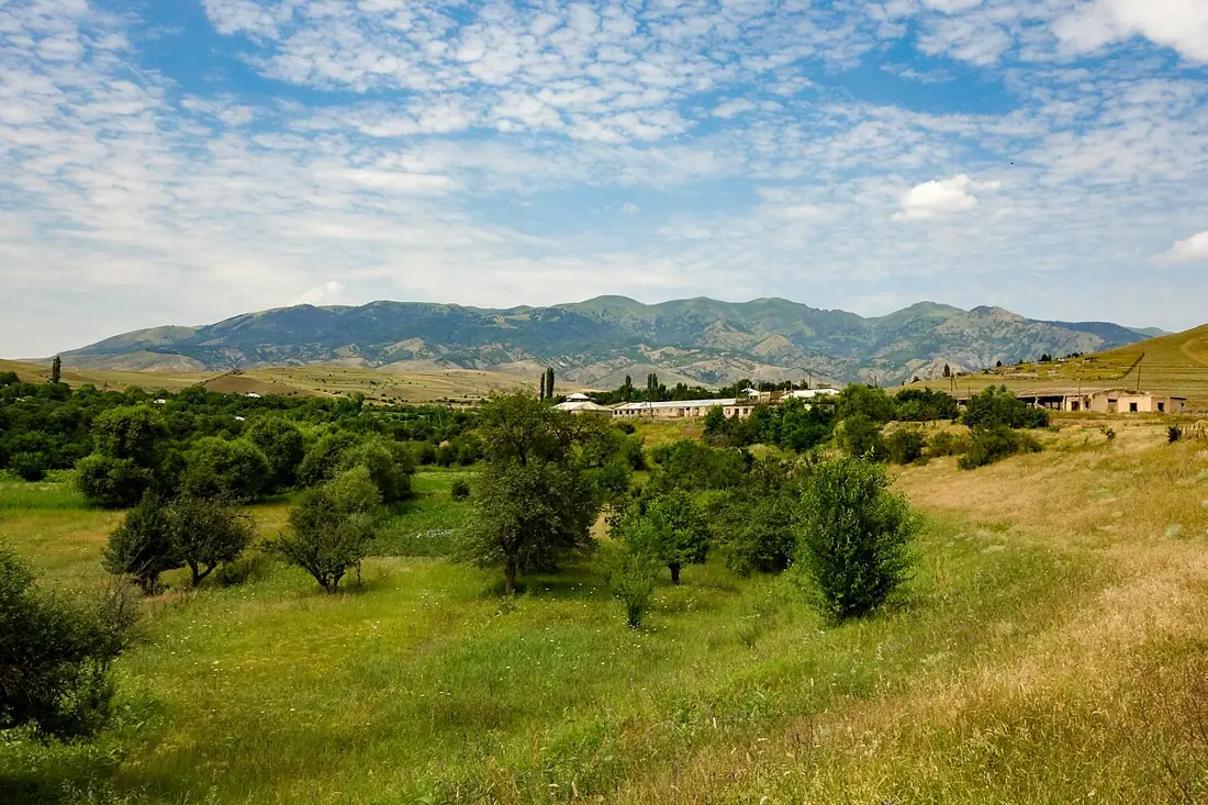 Sabaduri Forest