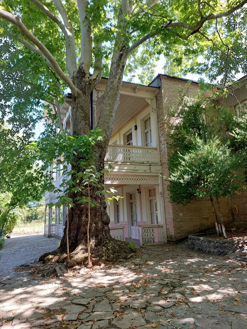 Ilia Chavchavadze Saguramo Museum