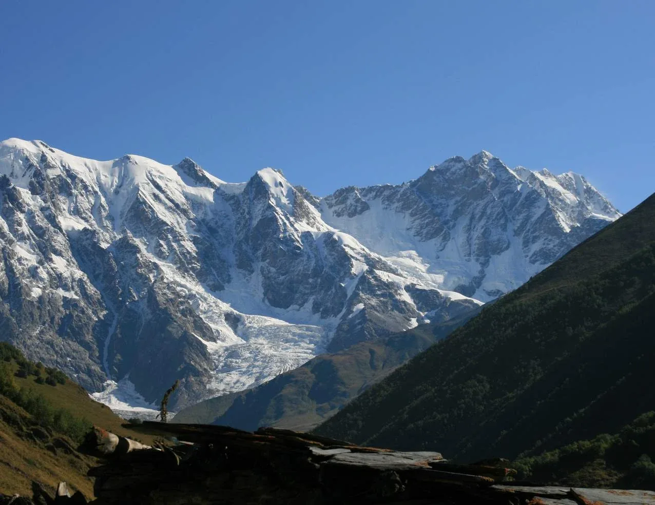 Shkhara Glacier and Lamaria — 2