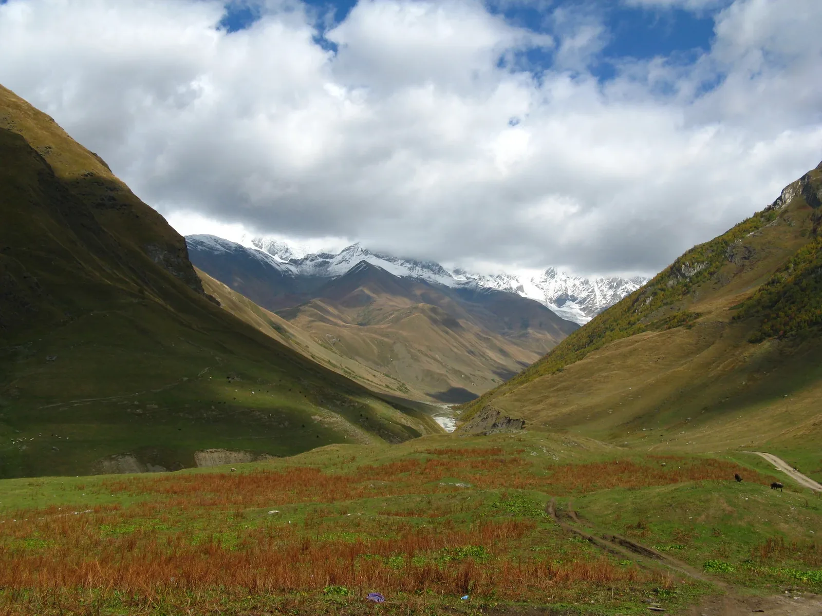 Shkhara Glacier and Lamaria — 5