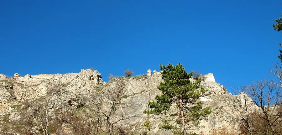 სხვიტორი — აკაკი წერეთლის სახლ-მუზეუმი — 2