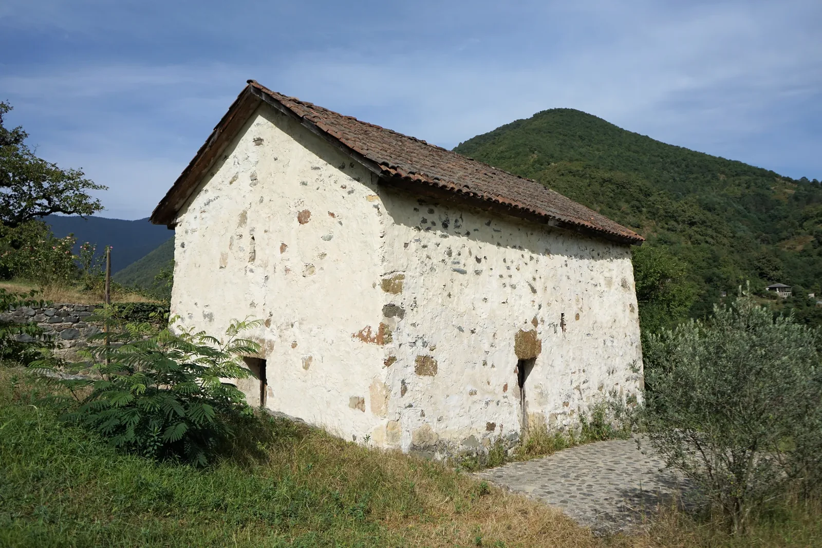 Skhvitori — Akaki Tsereteli House-Museum — 2