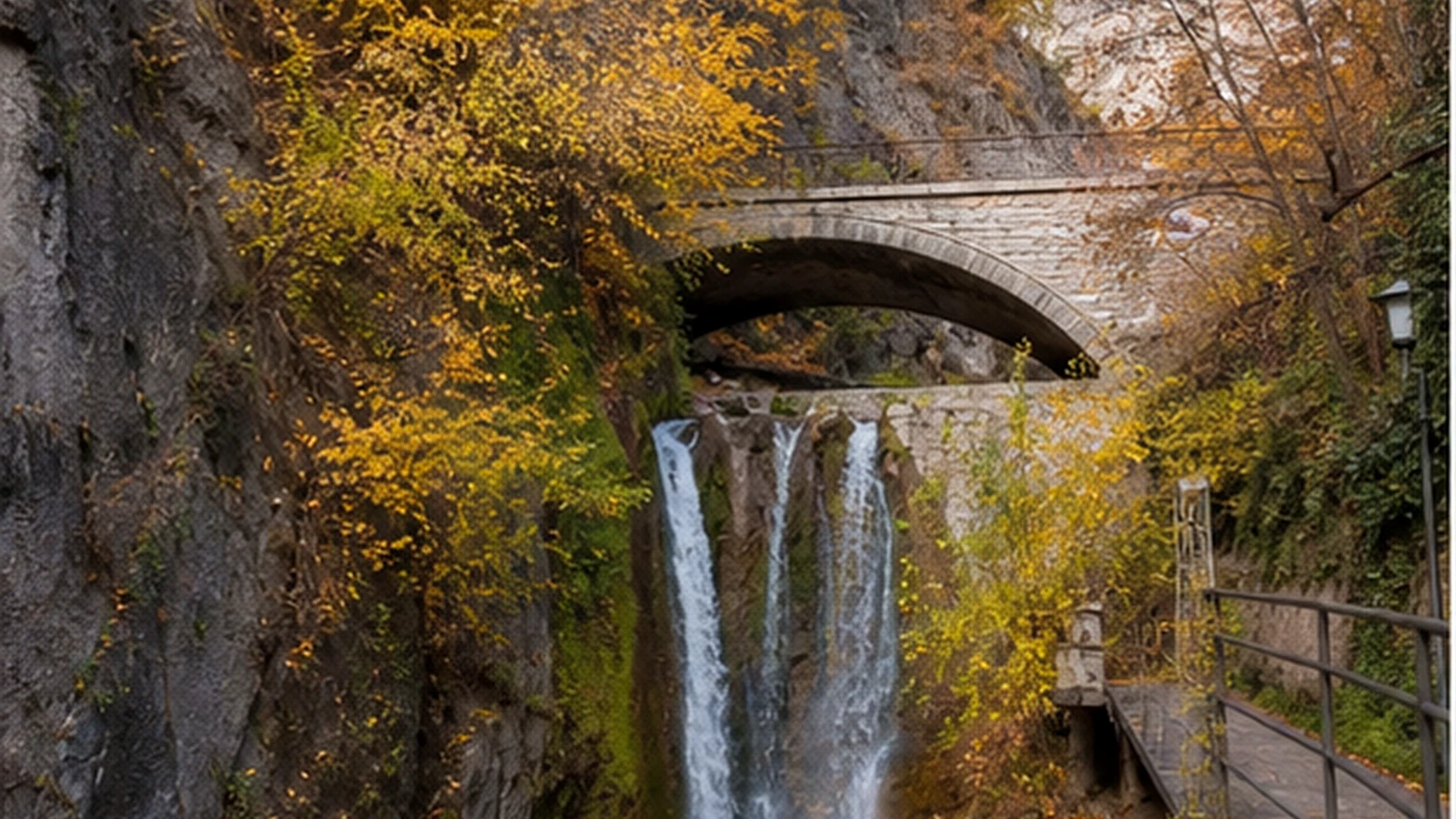 Tbilisi Botanical Garden — 2