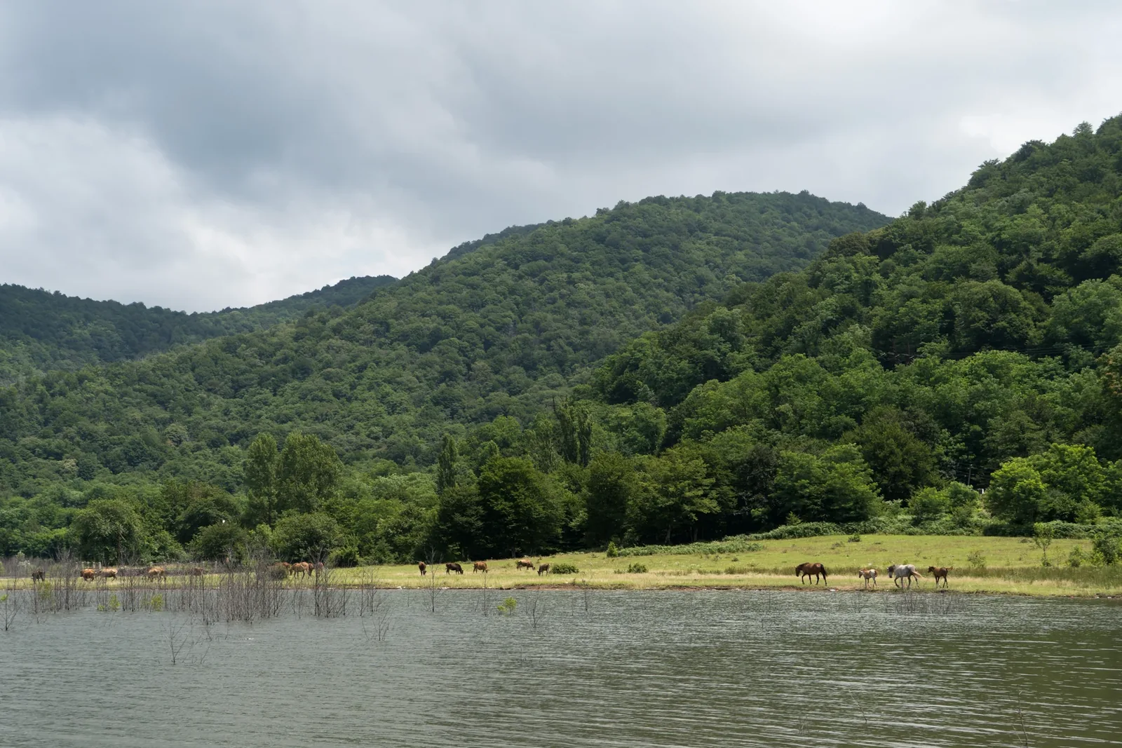 Tkibuli Reservoir — 3