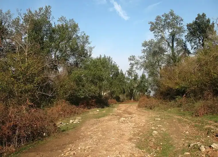 ცაიშის ღვთისმშობლის მიძინების ტაძარი — 1