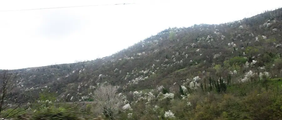 უბისის მონასტერი — 2