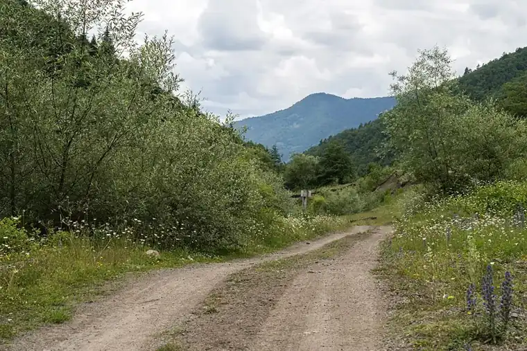 უწერის მინერალური წყლები — 3