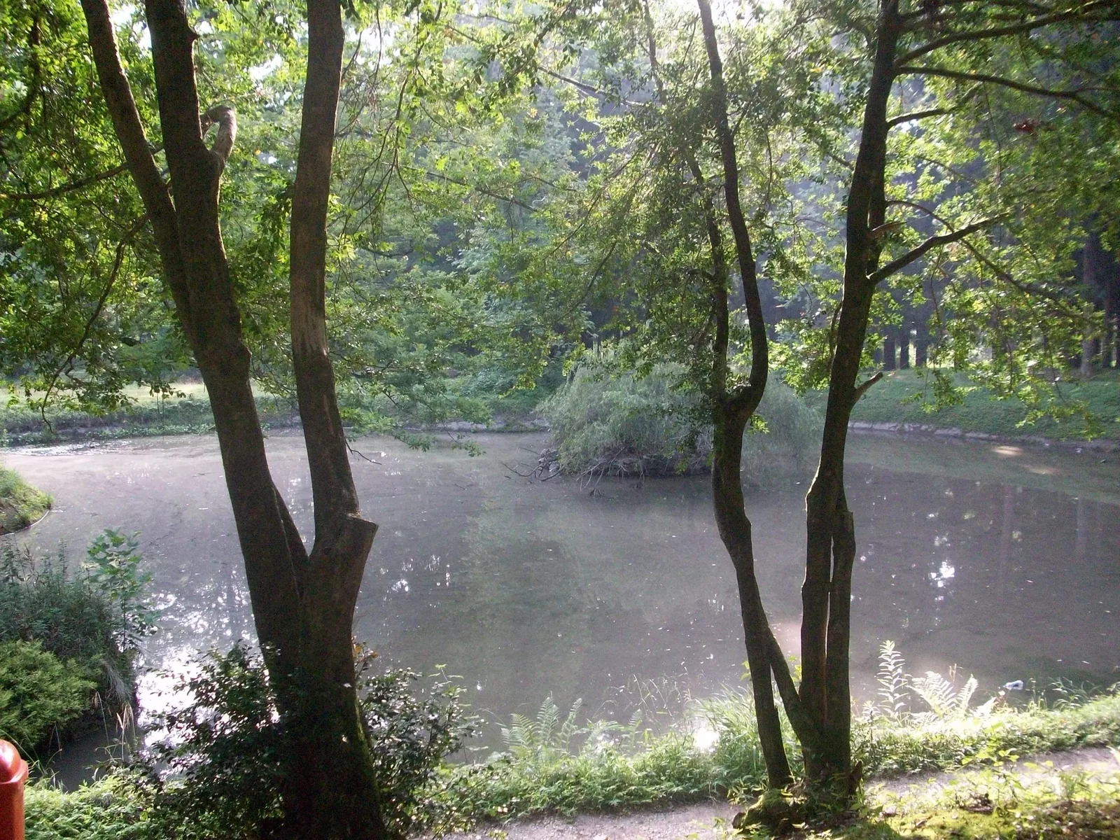 Zugdidi Botanical Garden — 2