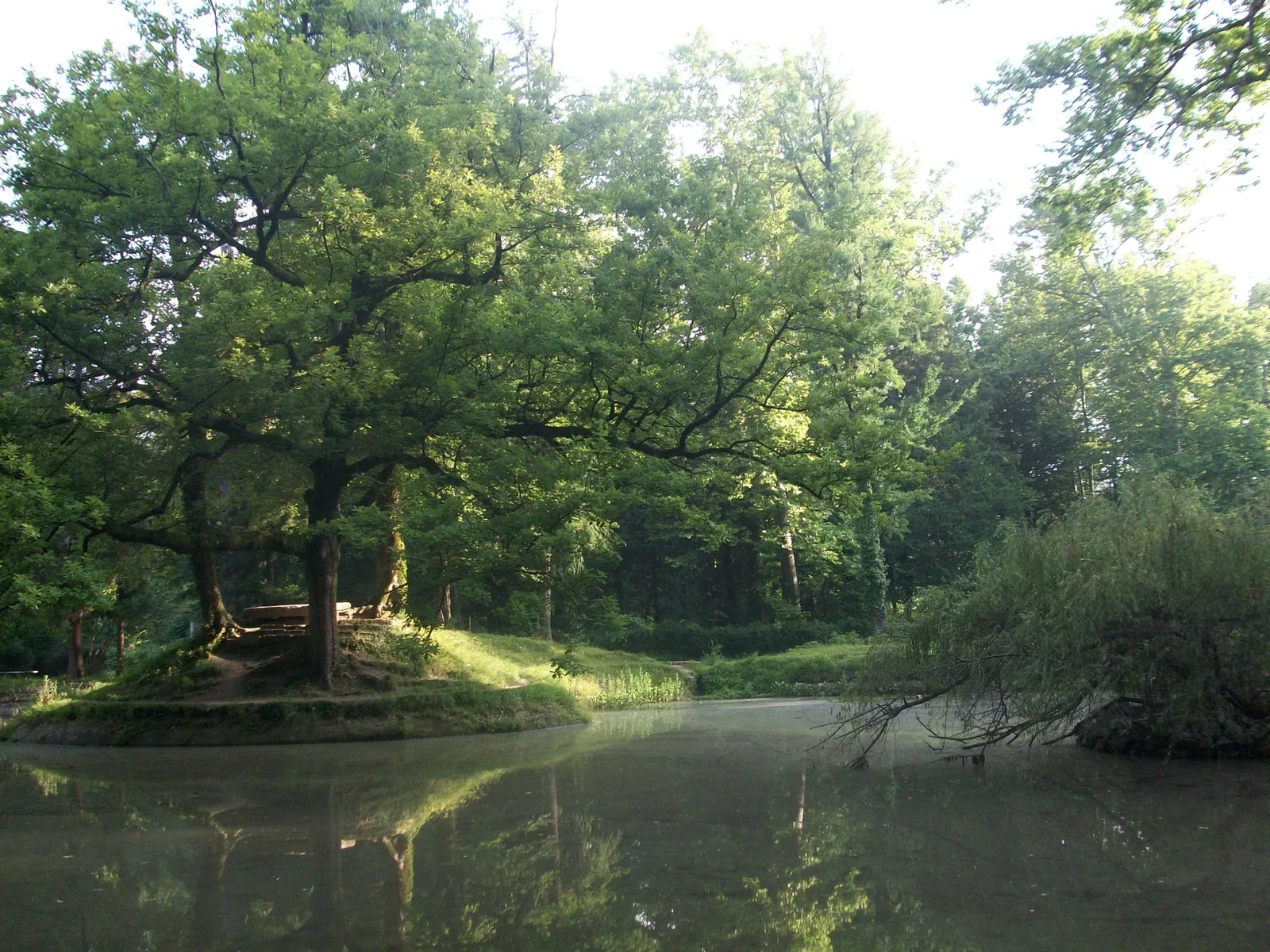 Zugdidi Botanical Garden — 3